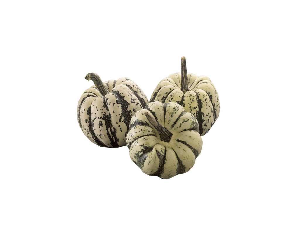 Eetbare Pompoenen: Decoratie en&nbsp;Recept